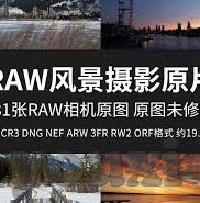 博古特 男篮世界杯-博古特在男篮世界杯的舞台，坚韧与传承的交响曲