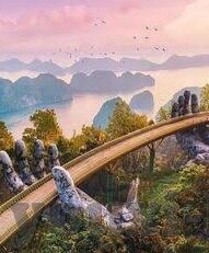 开云平台网址-开云平台，数字化转型的云端桥梁
